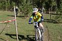DSC03897