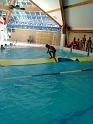 Photo0073