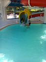 Photo0086